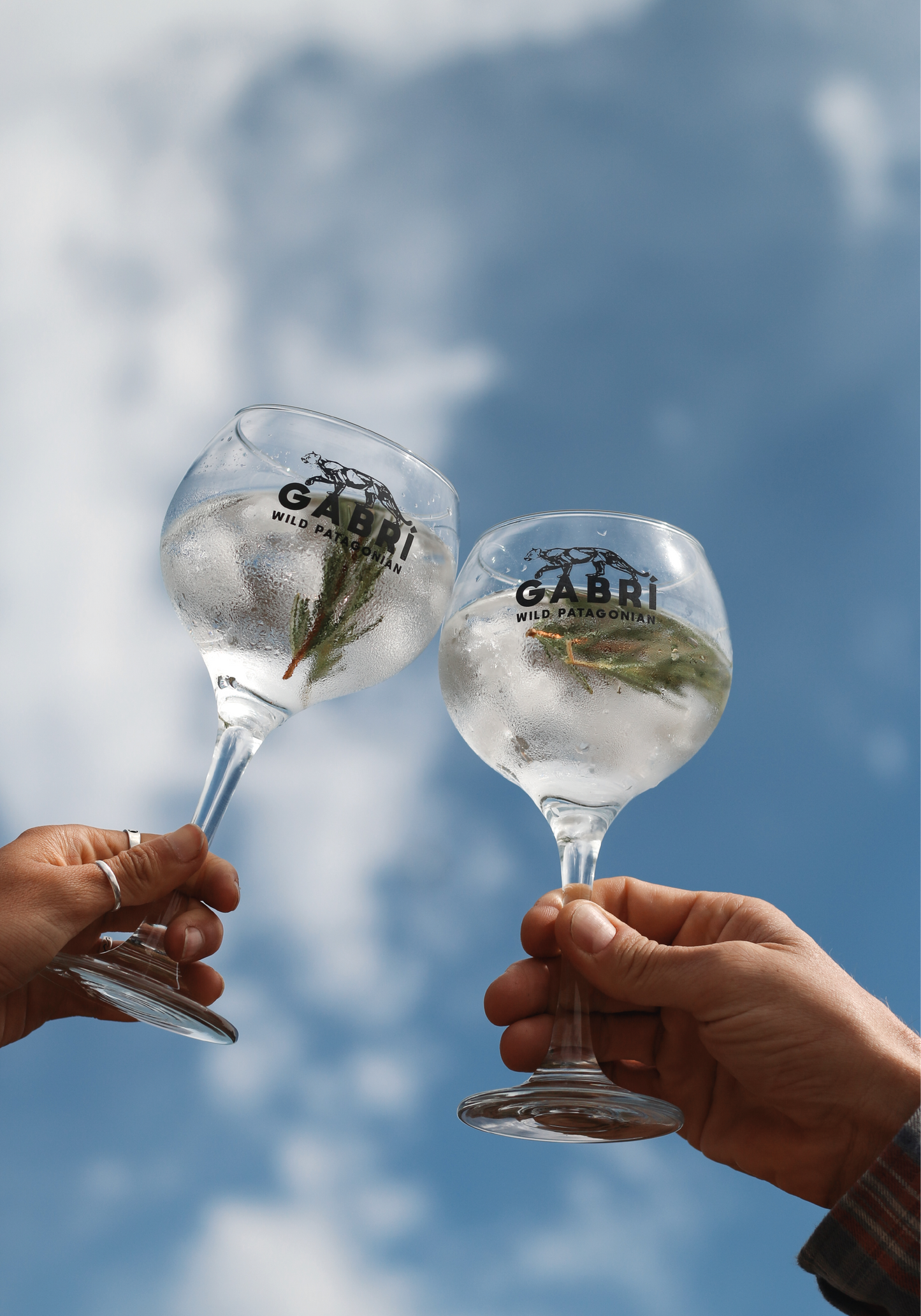 Pack Gabrí Gin + Copa