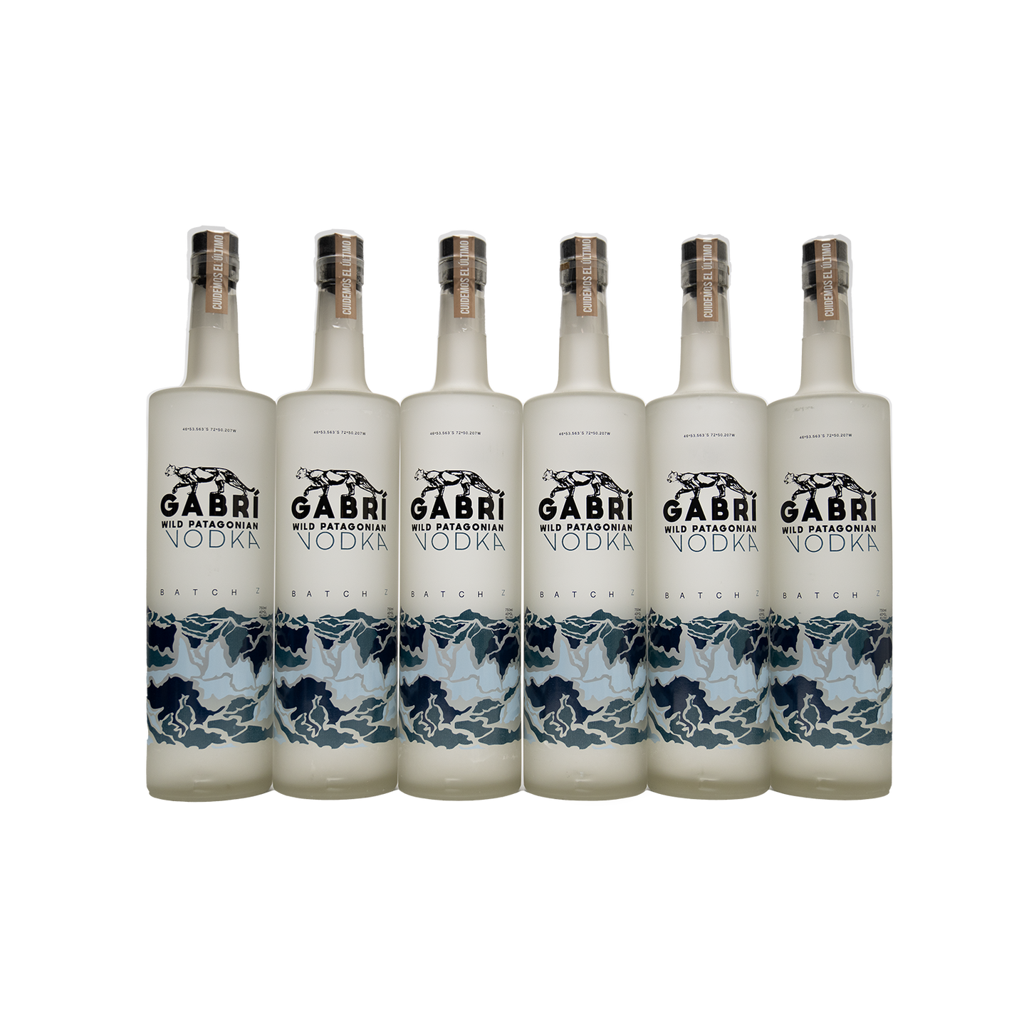 6 botellas Vodka Gabrí