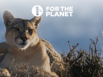 12 Pack Moscow Mule – Gin Gabri