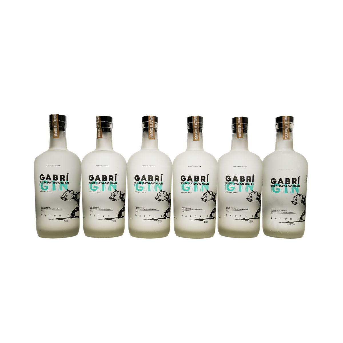 6 botellas Gin Gabrí