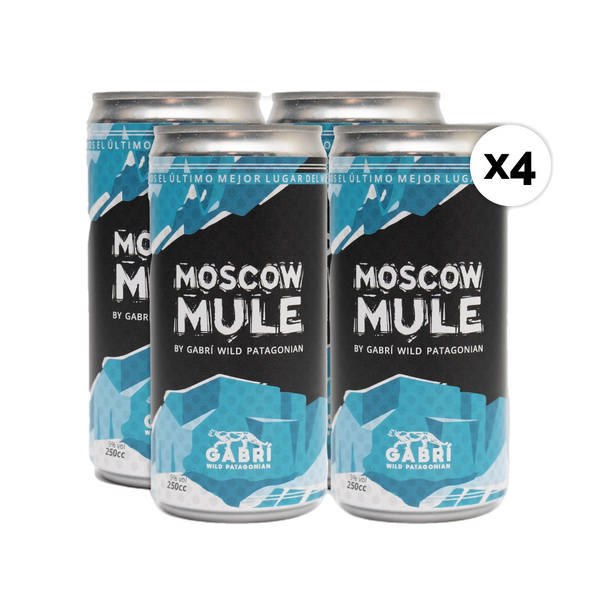 Moscow Mule 4pack 250cc – Gin Gabri